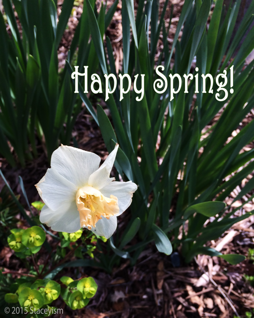 Happy Spring!