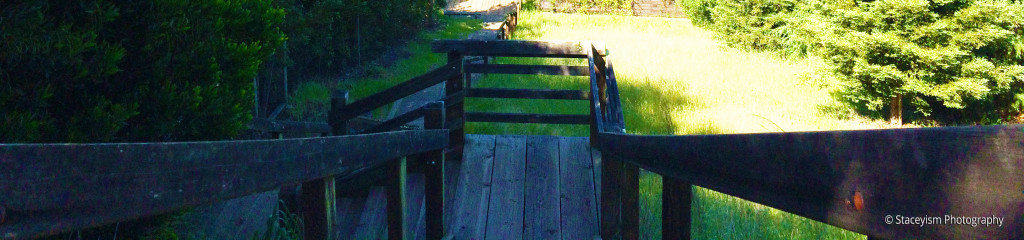 30 Day Meditation Goal Day 1 Stairs