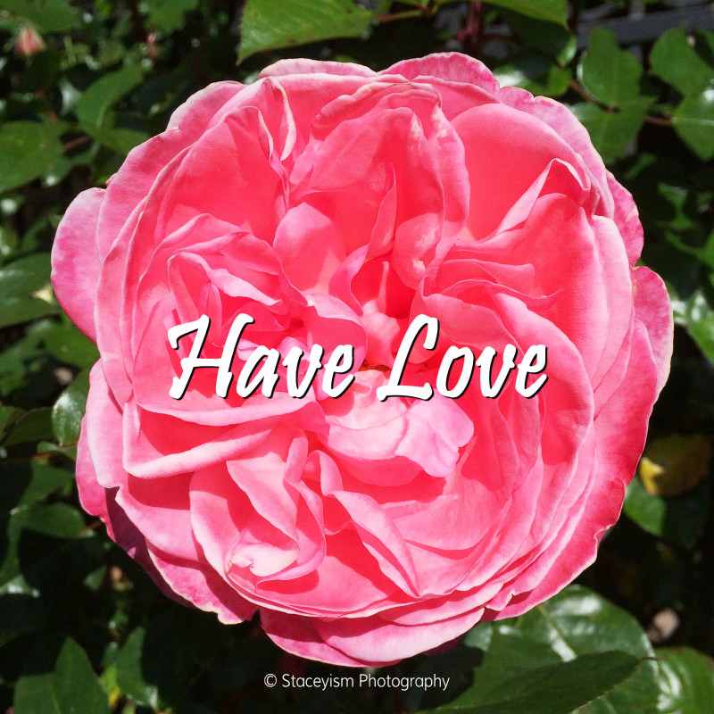 Have Love