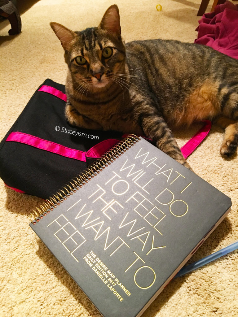 My DP Planner & Opie the cat